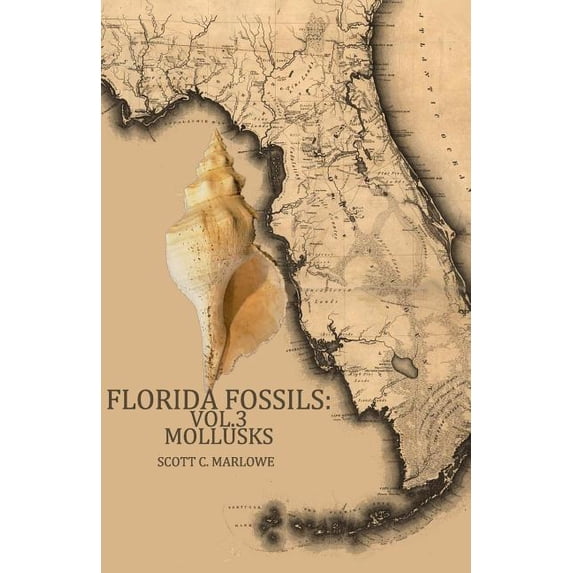 Florida Fossils: Florida Fossils: Mollusks (Paperback)