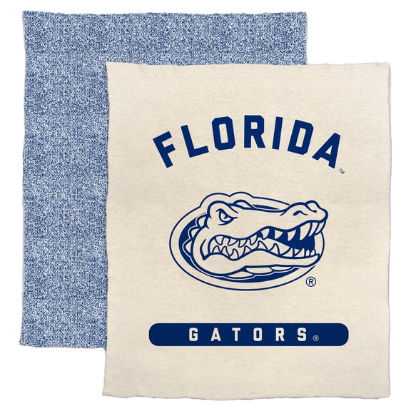 Florida Gators 50" x 60" Luxe Dreams Throw Blanket