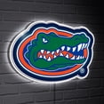 thumbnail image 1 of Florida Gators LED Team Logo Shaped Lighted Wall Sign, 1 of 2