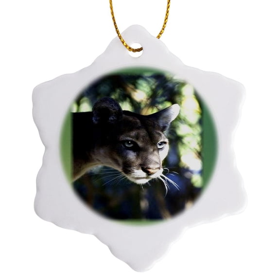 3drose, Florida Green Eyed Panther, 3 inch Snowflake Porcelain Ornament
