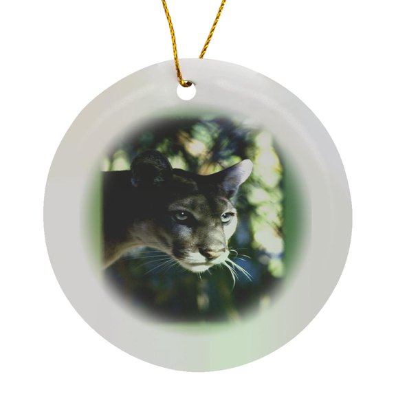 3drose, Florida Green Eyed Panther, Circle Porcelain Ornament