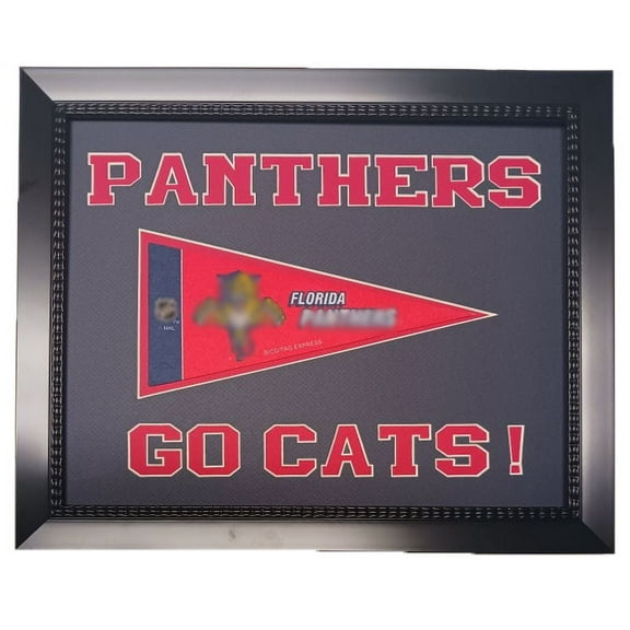 Florida - Hockey 11x14 Custom Pennant Frame " Go Cats! "