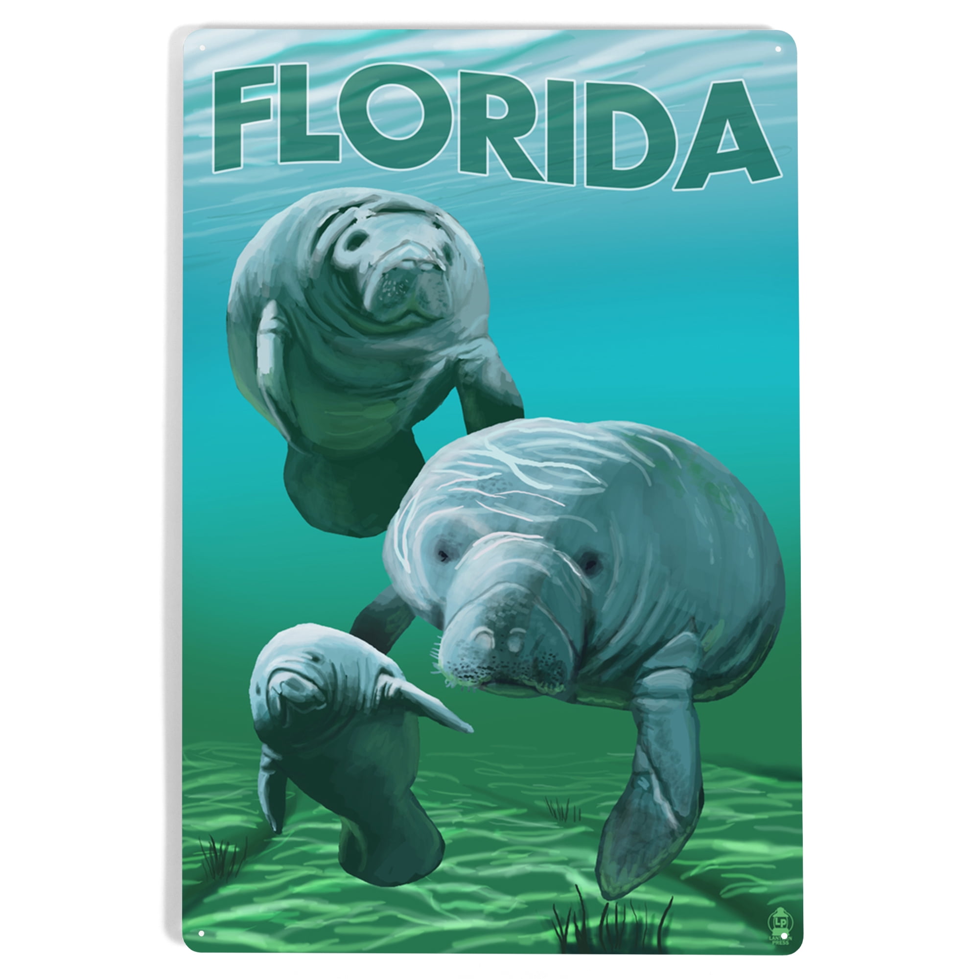 Florida, Manatees (12x18 Aluminum Art, Indoor Outdoor Metal Sign Decor ...