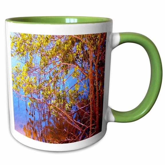 3drose, Florida Mangrove Trees Have Their Roots Above Ground, 11oz Two-tone Green Mug