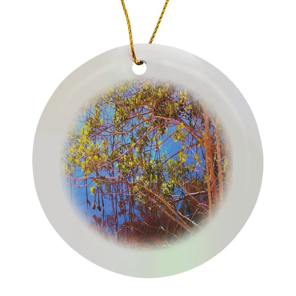 3drose, Florida Mangrove Trees Have Their Roots Above Ground, Circle Porcelain Ornament