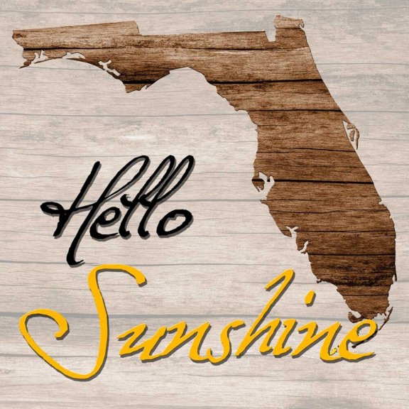 Florida Map 2 Poster Print by Sheldon Lewis (24 x 24)