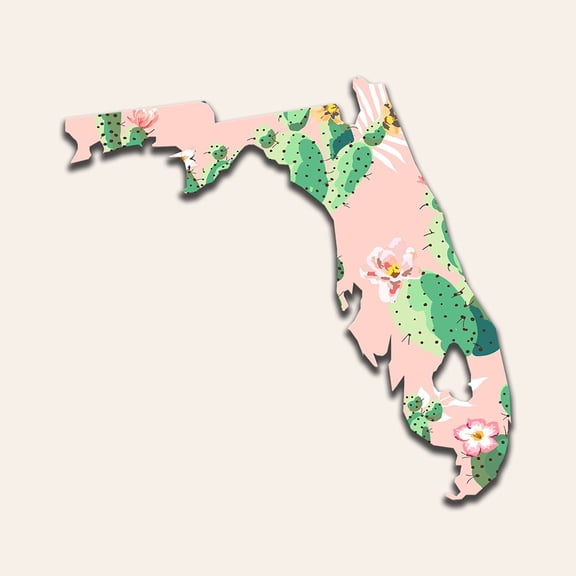 Florida Map by Jamie Phillip (24 x 24)