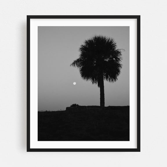 Florida Moonrise - St. Augustine Florida Photography Black and White Palm Tree Silhouette Minimalist Moon Night Sky Tropical Black Framed Wall Art Print 18 x 24 inches