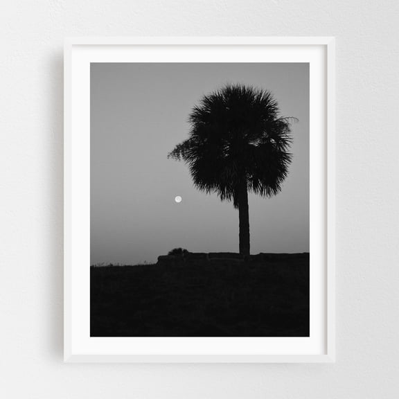Florida Moonrise - St. Augustine Florida Photography Black and White Palm Tree Silhouette Minimalist Moon Night Sky Tropical White Framed Wall Art Print 8 x 10 inches