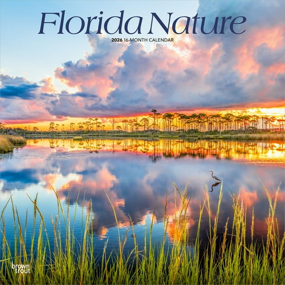 Florida Nature | 2026 12x24" (Hanging) Wall Calendar | Plastic-Free | BrownTrout