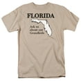 thumbnail image 1 of Florida Officially Licensed Adult T Shirt, 1 of 1
