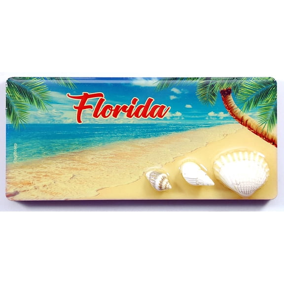 Florida Palm Shell MDF Magnet 4.25" x 2" x 0.25"