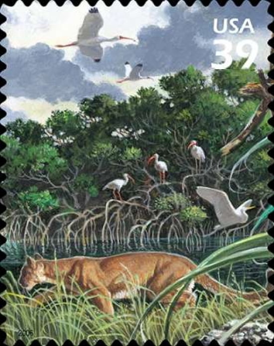Florida Panther Canvas Art - US POSTAL SERVICE (24 x 30)