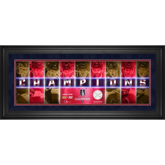 Florida Panthers 2024 Stanley Cup Champions Framed 10" x 30" Champions Panoramic with a Piece of Game-Used Net from the 2024 Stanley Cup Final - Limited Edition of 300