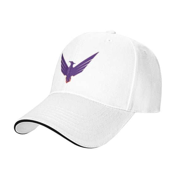 Florida Polytechnic University Logo Casual Sandwich Baseball Cap Adjustable For Men For Women