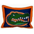 thumbnail image 1 of Florida Printed Pillow Sham, 1 of 1