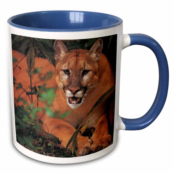 3drose, Florida Rare Panther, 15oz Two-tone Blue Mug