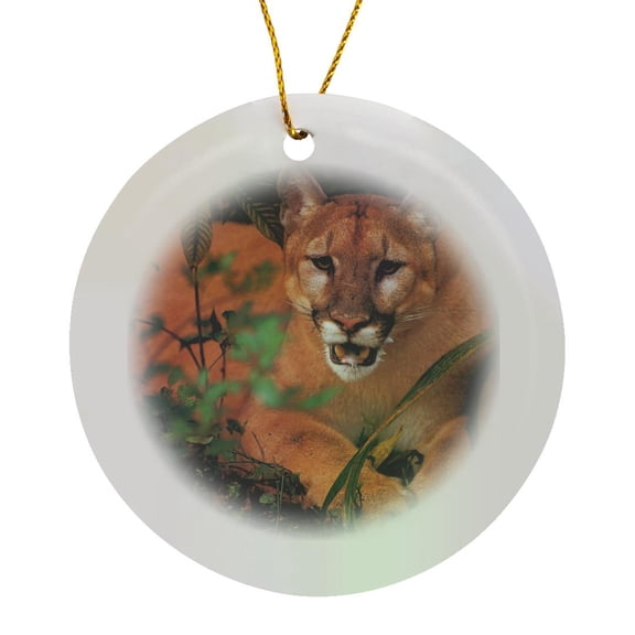 3drose, Florida Rare Panther, Circle Porcelain Ornament
