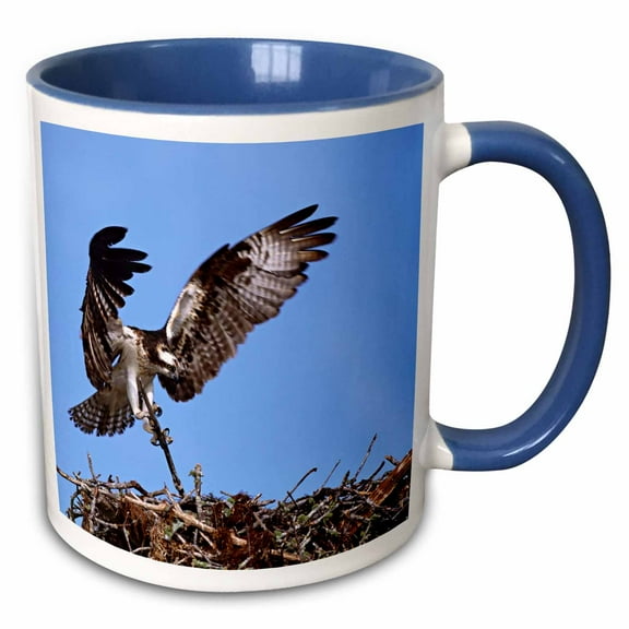 3drose, Florida, Sanibel Island, Osprey Birds Nest - Us10 Csl0164 - Charles Sleicher, 11oz Two-tone Blue Mug