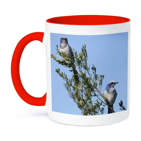 Florida. Scrub Jay Bird - Na02 Aje0251 - Adam Jones, 15oz Two-Tone Red Mug