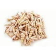 thumbnail image 1 of Florida Shells & Gifts 100 Count Small Purple Turretella Craft Shells, 1/2"-1 1/2", 1 of 4