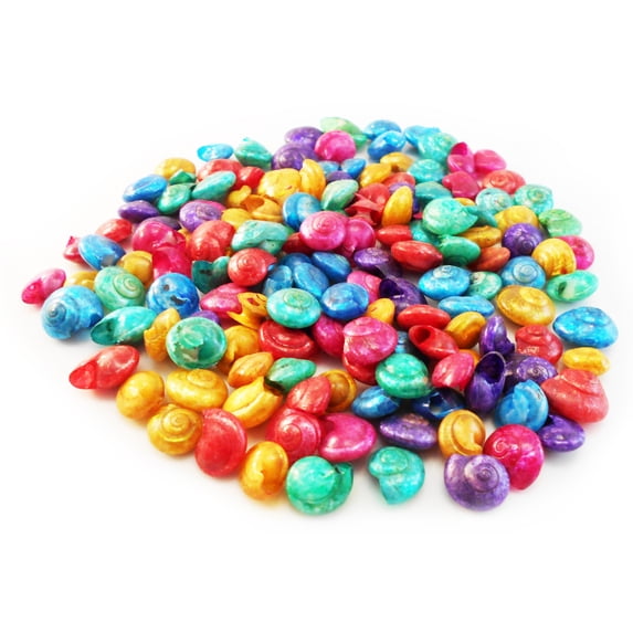 Florida Shells and Gifts: 1 Lb (about 800 shells) Tiny Dyed Umbonium ...