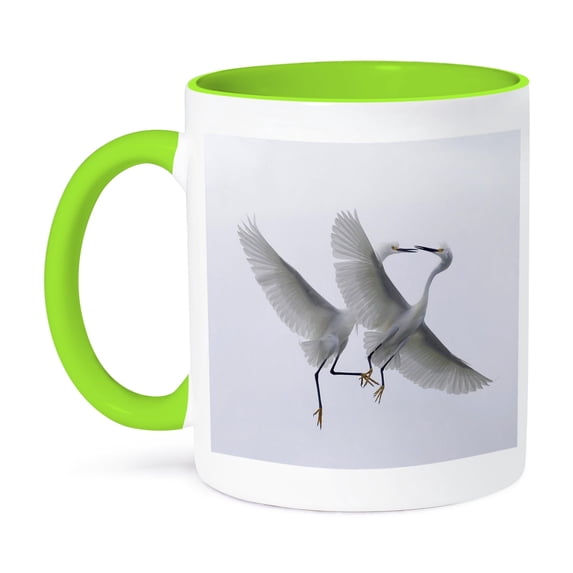 Florida, Snowy Egret Birds - Us10 Bja0004 - Jaynes Gallery, 11oz Two-Tone Green Mug