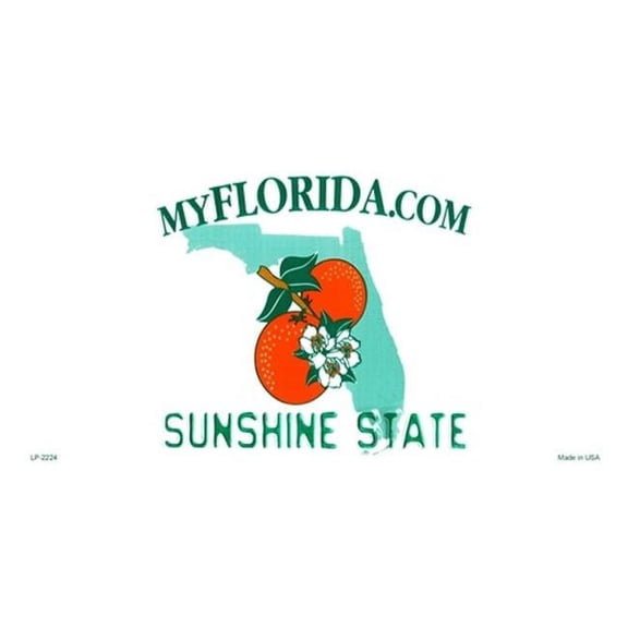 Florida State Background Blanks Flat- Automotive License Plates Blanks for Customizing