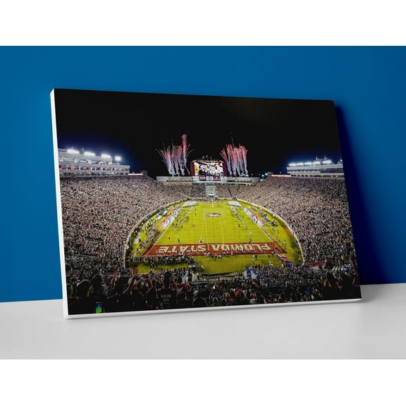 Florida State Football Stadium Poster or Canvas Wall Art