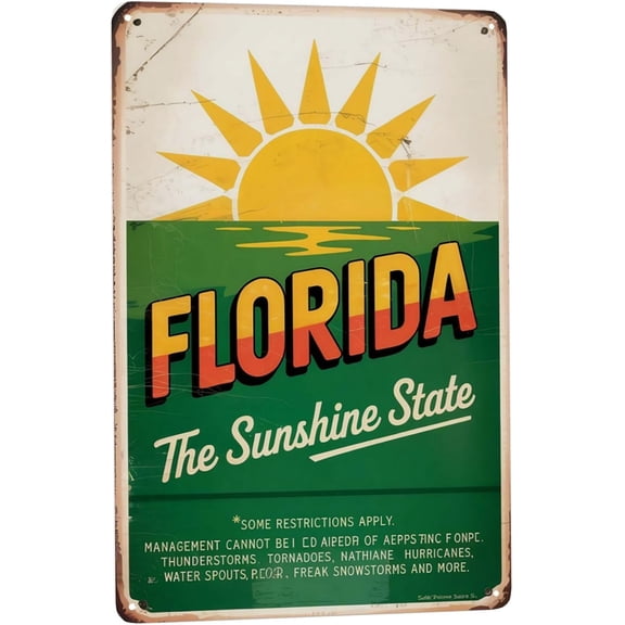 Florida Sunshine State Vibes Metal Tin Sign, Beach Quote Wall Art, Coastal Living Room Decor, 8 x 12 Inch