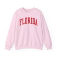 thumbnail image 1 of Florida Sweatshirt Gifts Crew Neck Shirt Long Sleeve Unisex, 1 of 7