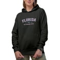 thumbnail image 1 of Florida, The Sunshine State, Est. 1845 feat. Palm Trees Art Merch Gift, Black Hooded Sweatshirt or Hoodie, Small, 1 of 5