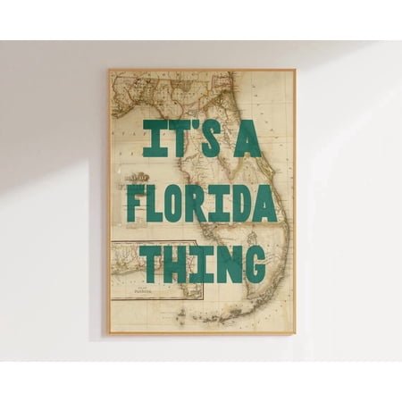 Florida Thing Vintage Map Travel Poster Unframed Paper Print price history and forecast - 1212Ent