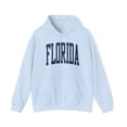 thumbnail image 1 of Florida Trip Moving Away Vacation Travel Hoodie, Gifts, Hooded Sweatshirt, 1 of 4