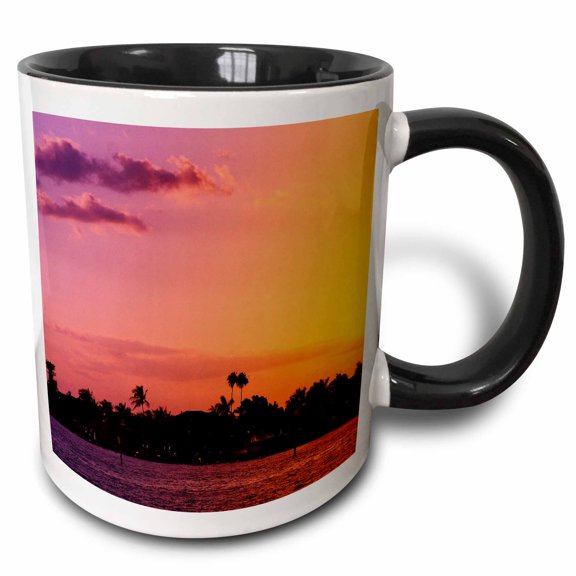 3drose, Florida Tropic, 11oz Two-tone Black Mug