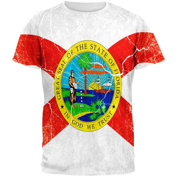 Florida Vintage Distressed State Flag All Over Mens T Shirt Multi X-LG