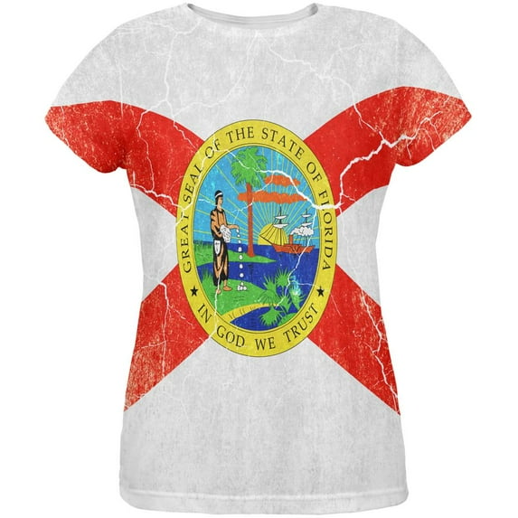 Florida Vintage Distressed State Flag All Over Womens T Shirt Multi LG