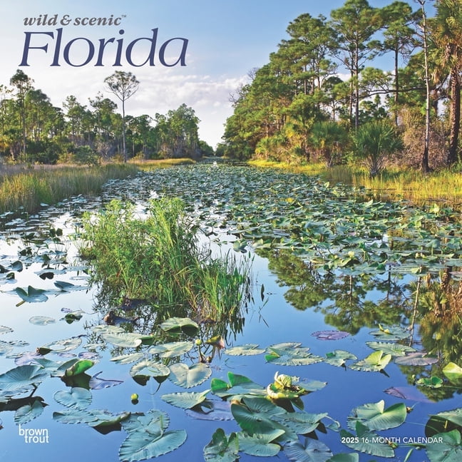 Florida Wild & Scenic 2025 12 X 24 Inch Monthly Square Wall Calendar Plastic-Free (Wall)