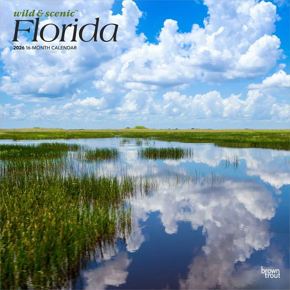 Florida Wild & Scenic | 2026 12x24" (Hanging) Wall Calendar | Plastic-Free