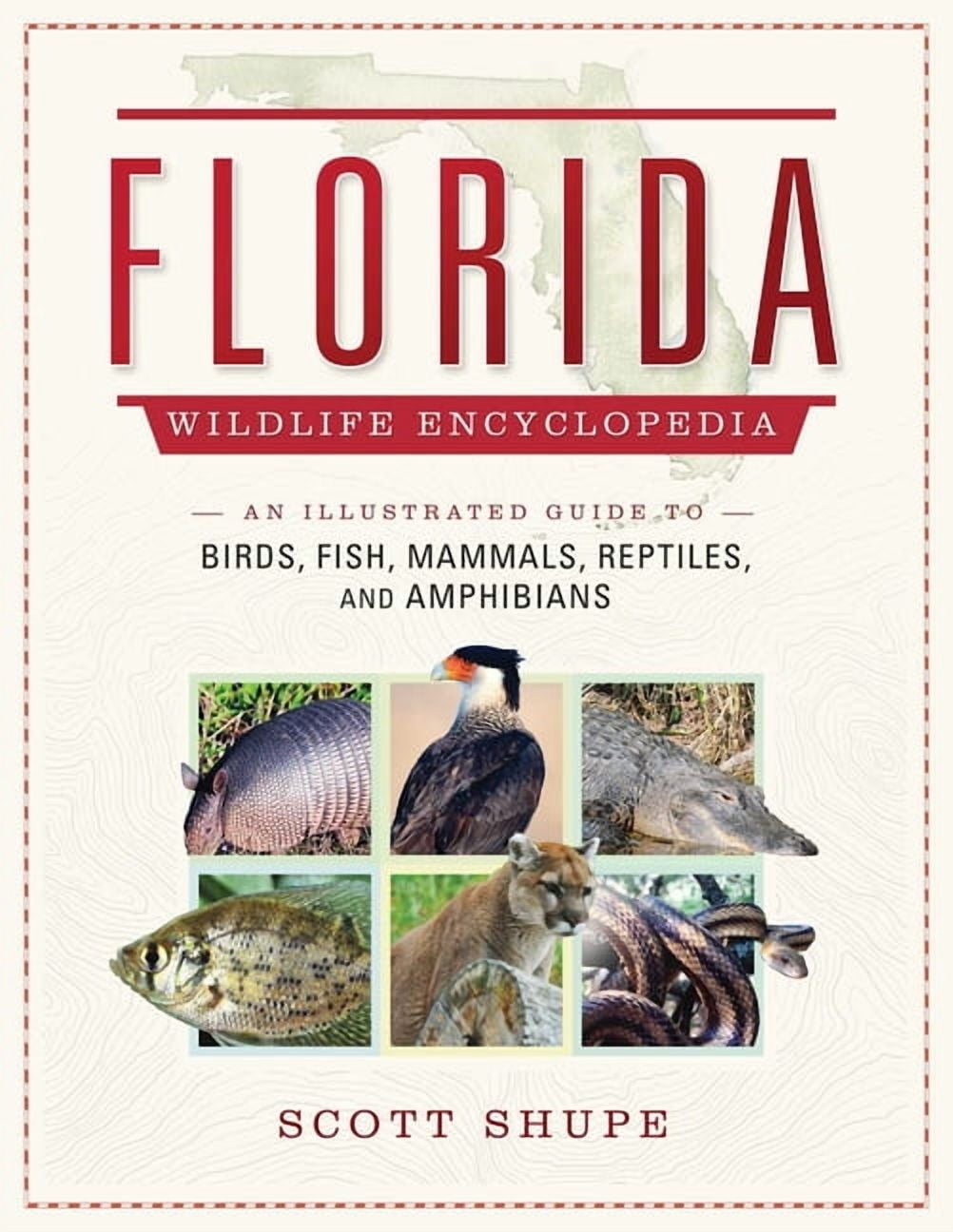 Florida Wildlife Encyclopedia : An Illustrated Guide to Birds, Fish, Mammals, Reptiles, and Amphibians (Hardcover)