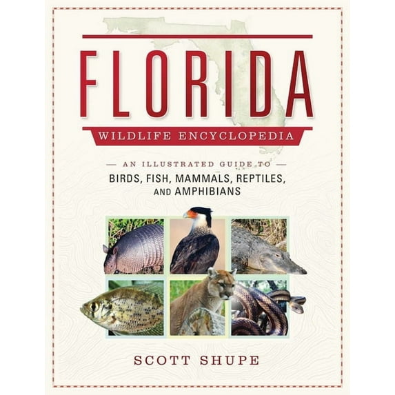 Florida Wildlife Encyclopedia : An Illustrated Guide to Birds, Fish, Mammals, Reptiles, and Amphibians (Hardcover)