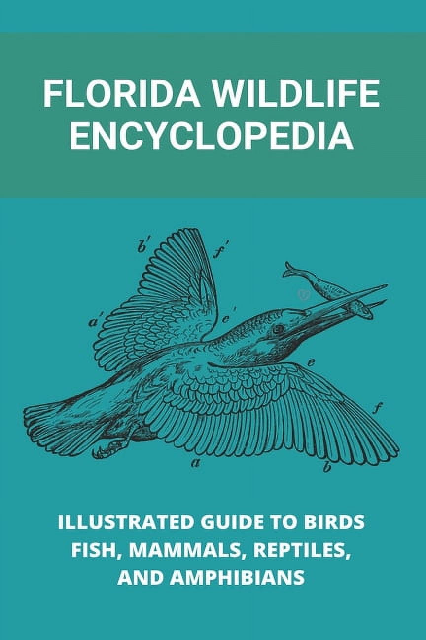 Florida Wildlife Encyclopedia : Illustrated Guide To Birds, Fish, Mammals,  Reptiles, And Amphibians: Freshwater Fishing In Florida (Paperback) 