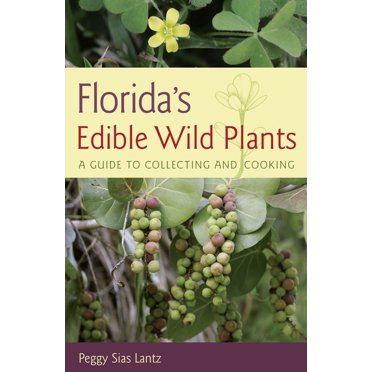 Libro Foraging For Survival: Edible Wild Plants Of North America &ndash; Douglas Haw