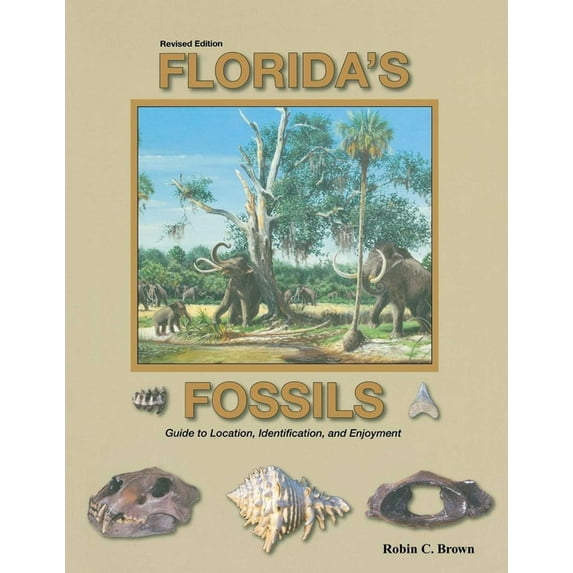 Florida's Fossils, (Paperback)