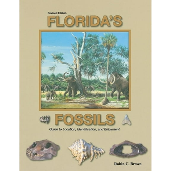 Pre-Owned Florida's Fossils (Paperback) 1561645710 9781561645718