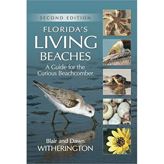 Pre-Owned Florida's Living Beaches: A Guide for the Curious Beachcomber (Paperback) 1561649813 9781561649815