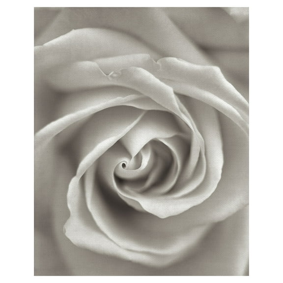 Florison #23 by Alan Blaustein Wrapped Canvas Art Print