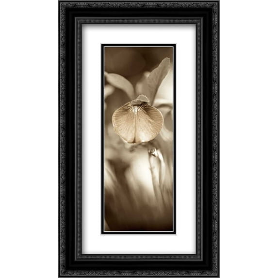 Florison - 73 2x Matted 14x24 Black Ornate Framed Art Print by Blaustein, Alan