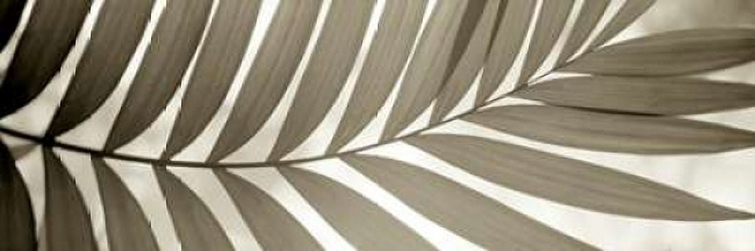 Florison - 98 Canvas Art - Alan Blaustein (12 x 36)