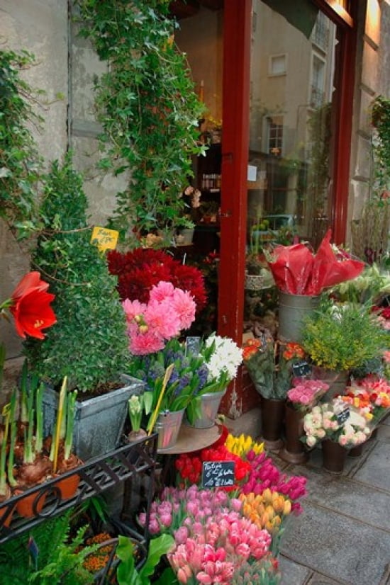 Florist in Ile St Louis Paris France Canvas Art - Lisa S Engelbrecht DanitaDelimont (18 x 27)